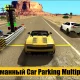 Car parking Multiplayer